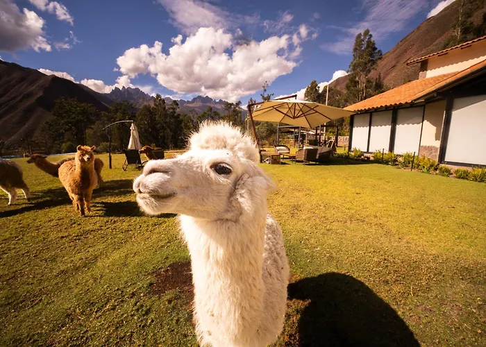 Sierra Sacred Valley Hotel *