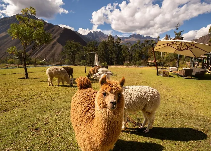 Sierra Sacred Valley * Urubamba
